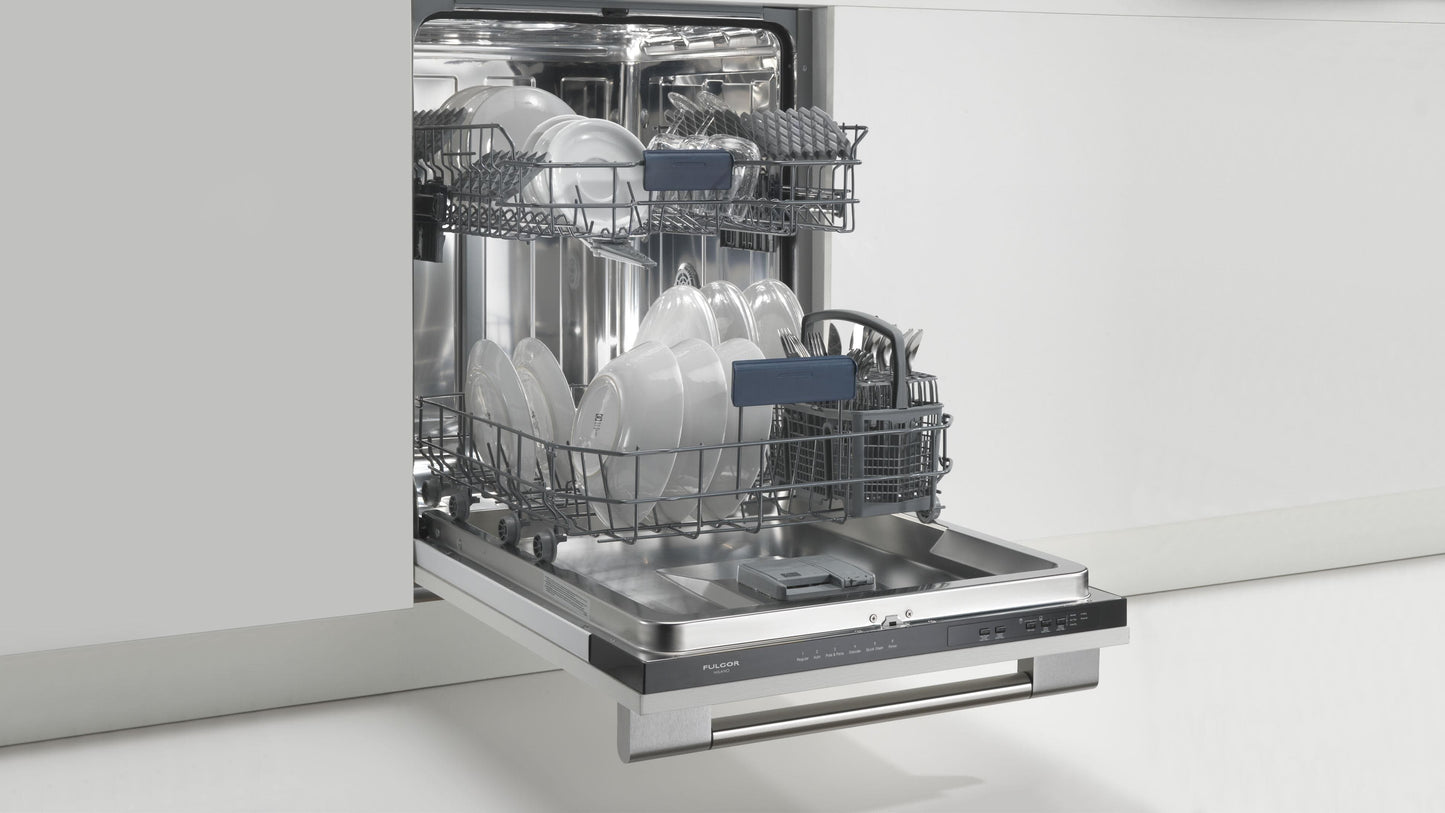 24" OVERLAY BUILT-IN DISHWASHER (F4DWT24FI1)